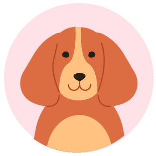 dog icon