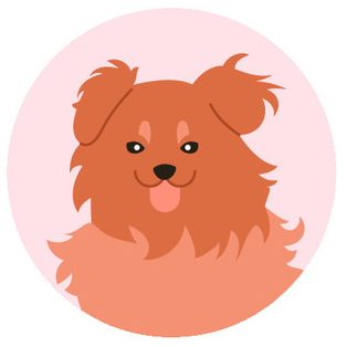 dog icon